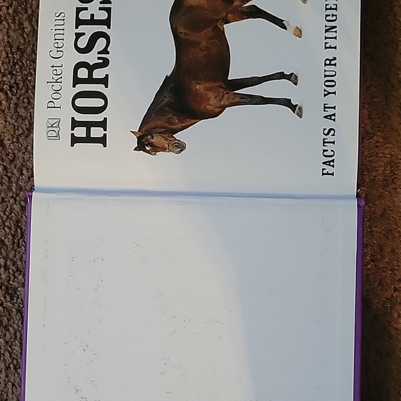 Pocket Genius Horses - Picture 3 of 4